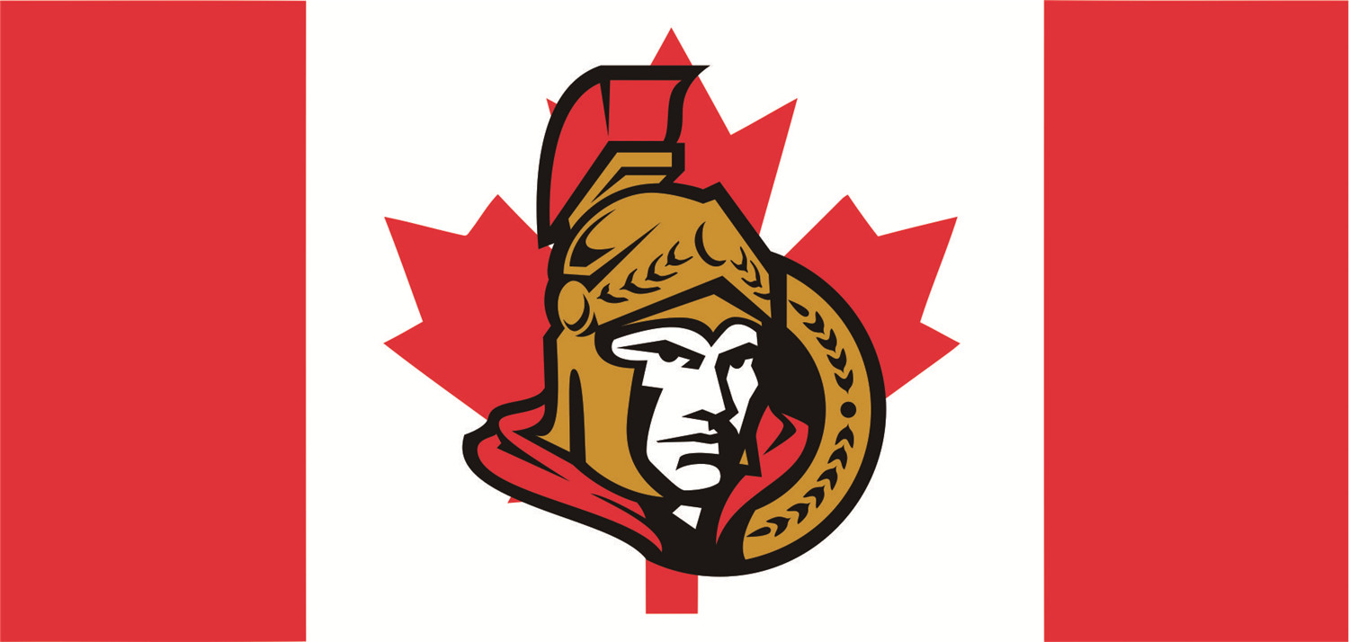 Ottawa Senators Flags iron on transfers